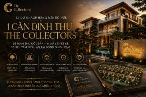 Lý Do Nên Sở Hữu 1 Căn Dinh Thự The Collectors'