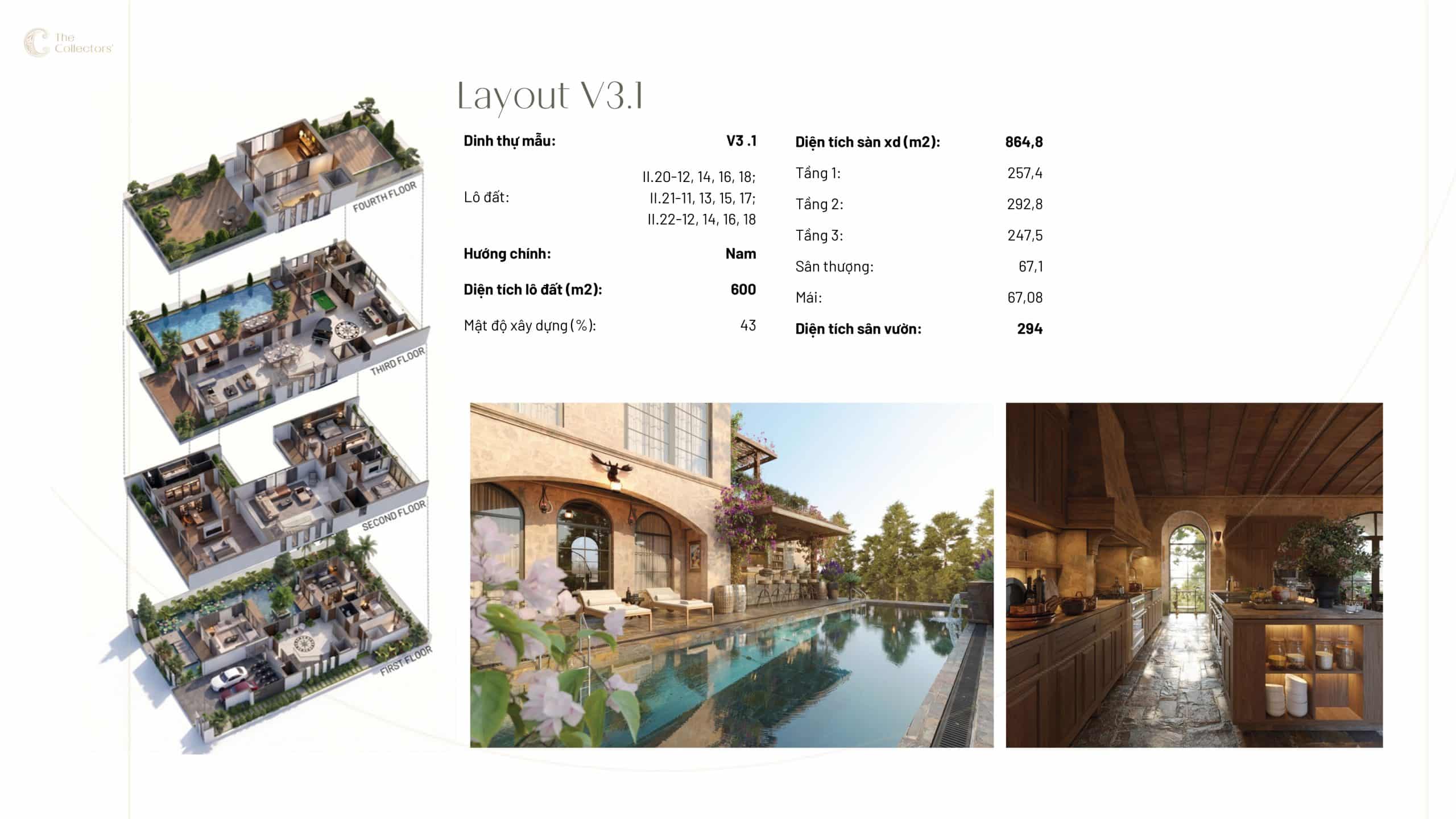 Mẫu V3.1
