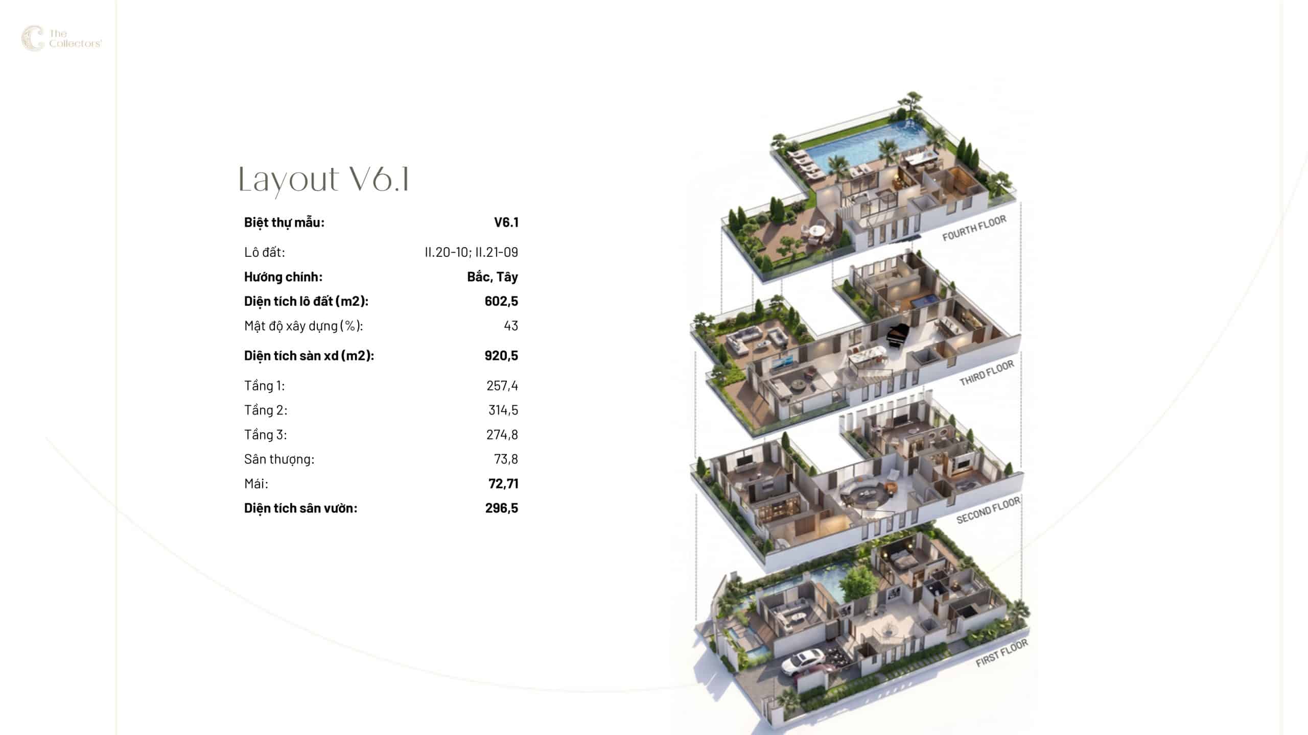 V6.1 – chỉ có II.20-10 và II.21-09